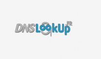 dnslookup