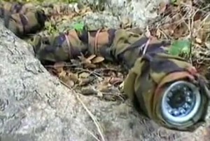 serpent militaire