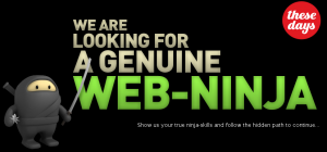 test web ninja