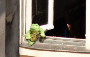 grenouille