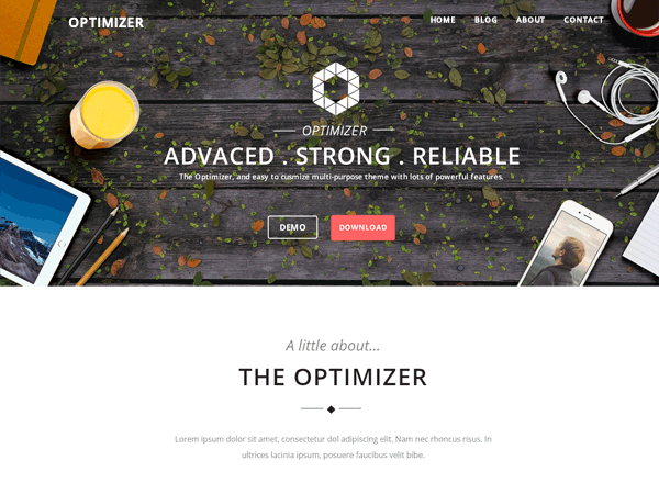 optimizer
